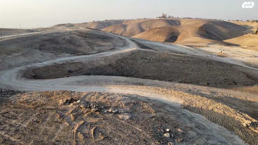 מגרשים, ערד