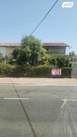 ישראל פרנקל 