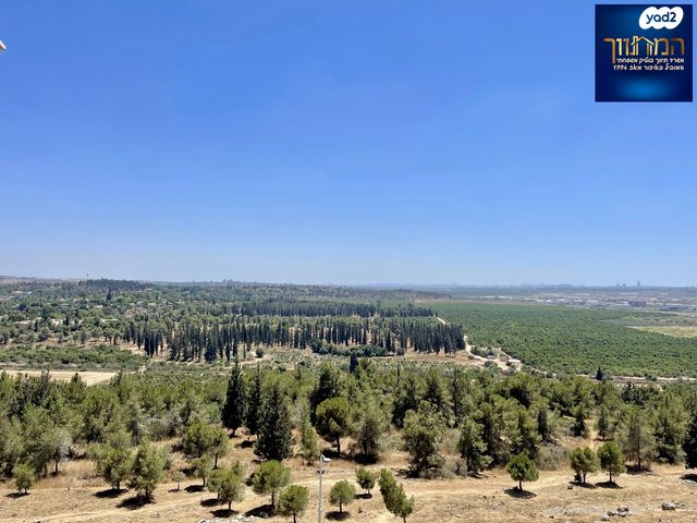 נחל אלכסנדר 