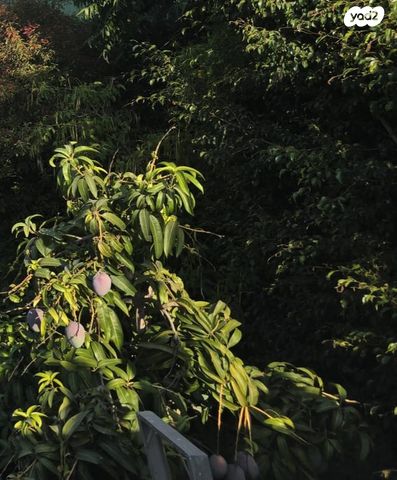 דו משפחתי, נוף ים, הרצליה