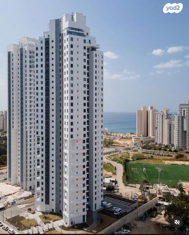 אמנון ליפקין שחק 