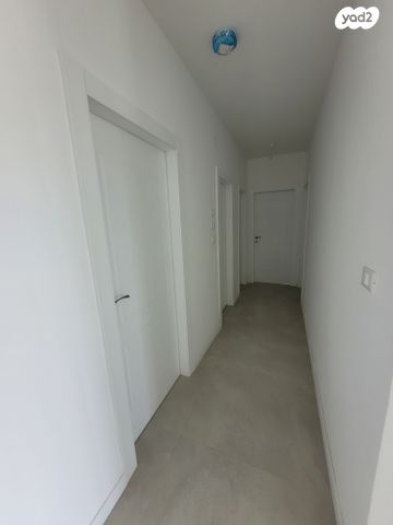 דירה, עפולה