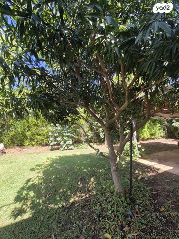 בית פרטי/ קוטג', קיסריה