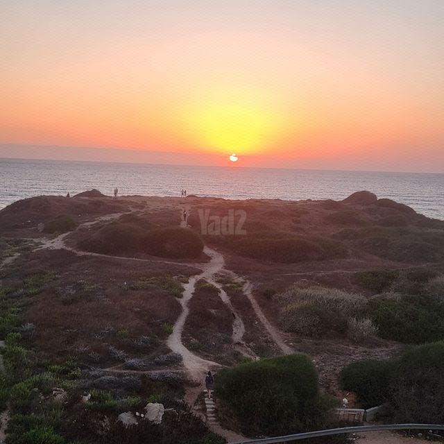 סטודיו/ לופט