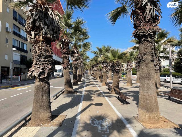 חנויות/ שטח מסחרי, שדרות נורדאו, הצפון הישן - צפון, תל אביב יפו