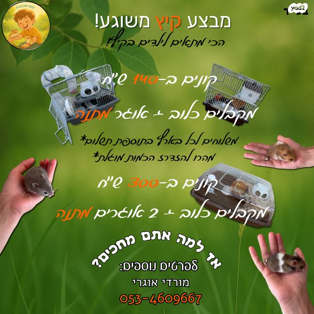 תמונת מודעה - חיות מחמד