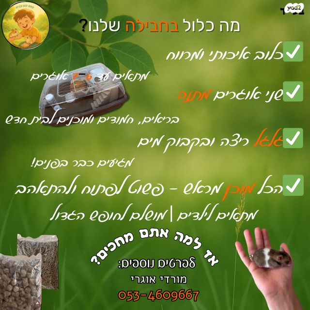 מכרסם אוגר
