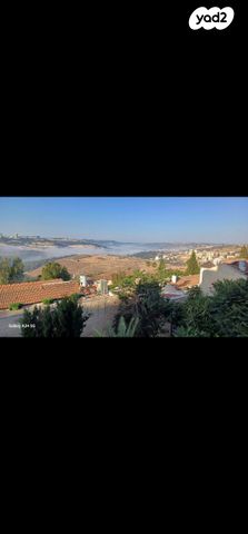 צבי מסליאנסקי 28