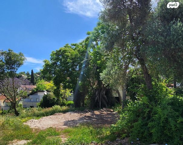 בית פרטי/ קוטג', קרית עמל, קרית טבעון