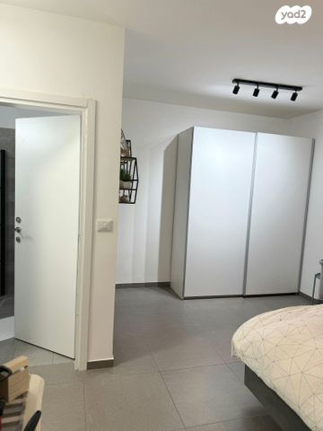 דירה, האנפה, החותרים, טירת כרמל