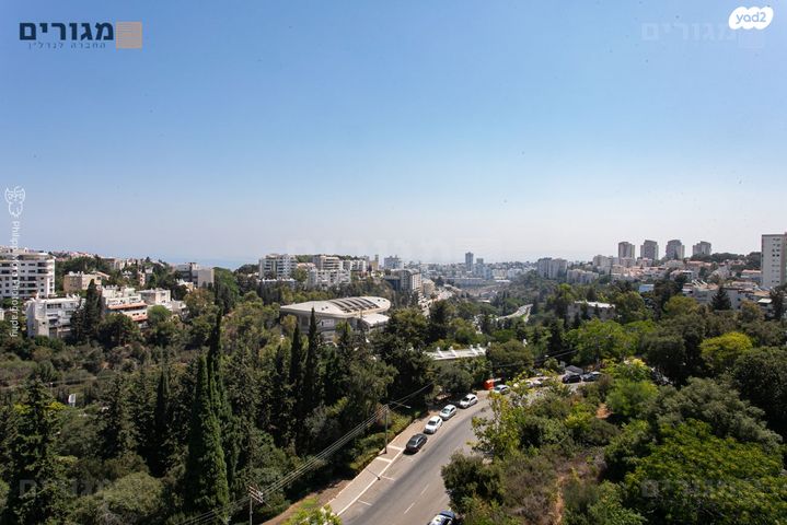 דירה, אורן, חיפה