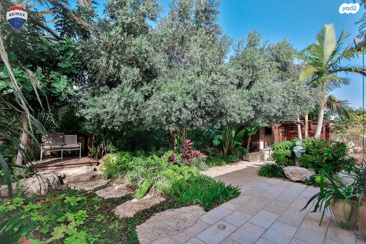 בית פרטי/ קוטג', קיסריה