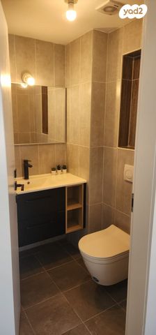 לסטר/רבוצקי