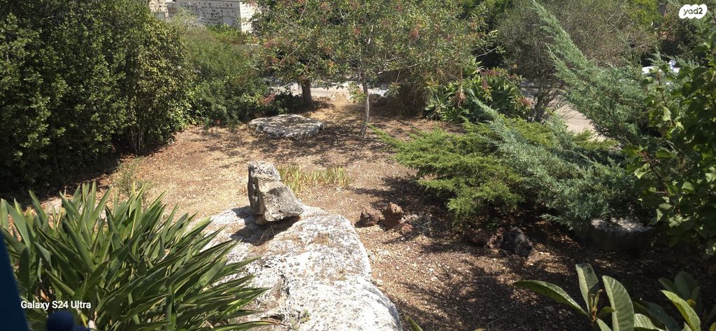 בית פרטי/ קוטג', תמרת