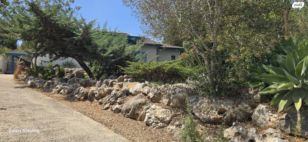 בית פרטי/ קוטג', תמרת