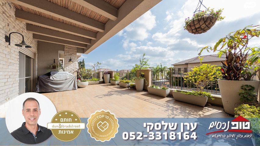 שלמה המלך 
