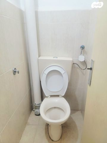 דירה, האחד עשר, צפת