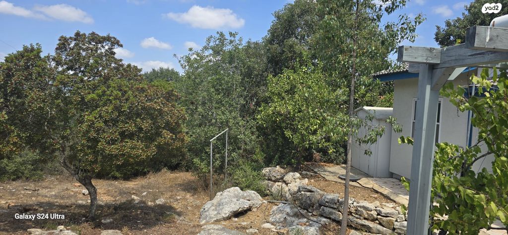 בית פרטי/ קוטג', תמרת