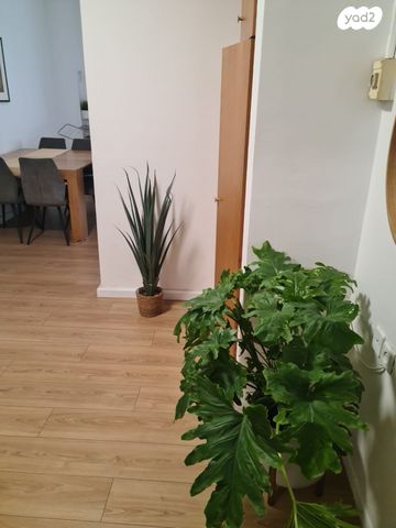 דירה, רחביה, ירושלים