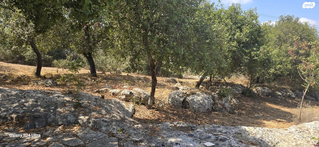 בית פרטי/ קוטג', תמרת