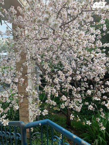 בית פרטי/ קוטג', חיפה