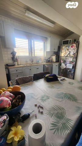 דו משפחתי, רמת דוד