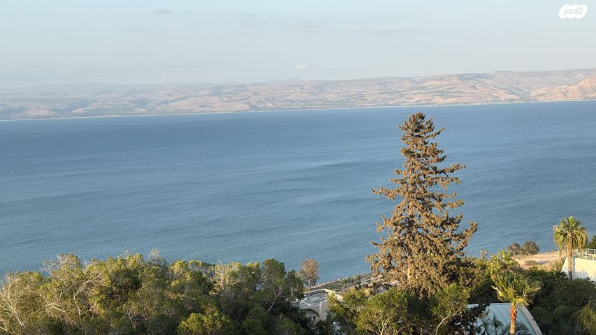 דירה, טבריה