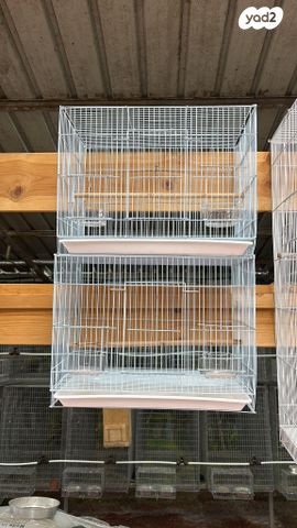 תמונת מודעה - חיות מחמד