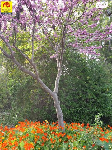 בית פרטי/ קוטג', אביגדור
