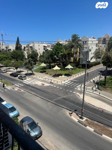 שמחה הולצברג 