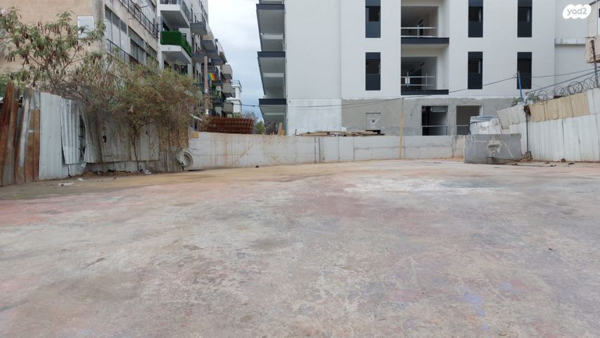 ראש פינה 13
