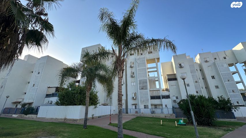 מאיר גרוסמן 