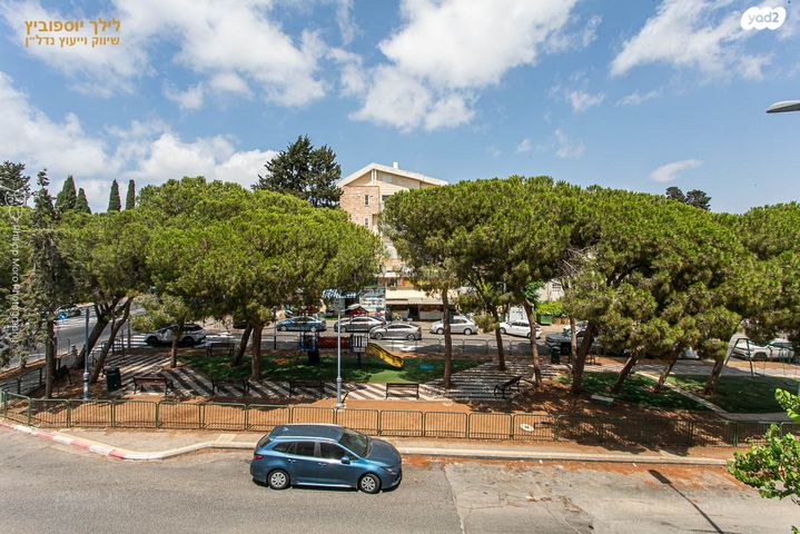 דירה, שדרות טרומפלדור, זיו, חיפה