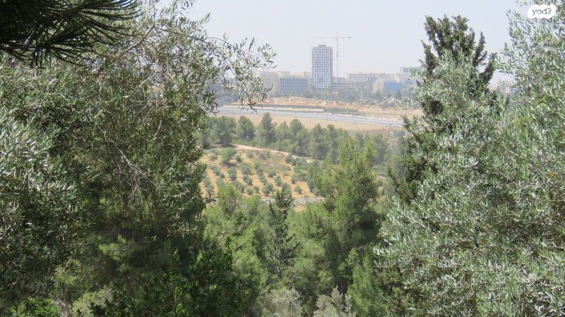 דו משפחתי, רמות, ירושלים