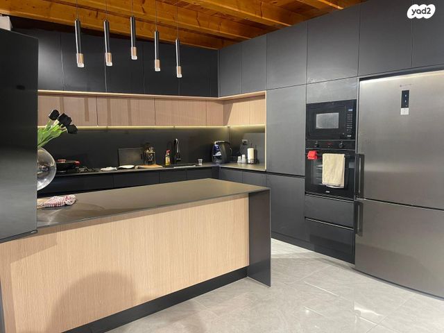 פרופ' חיים גבריהו 