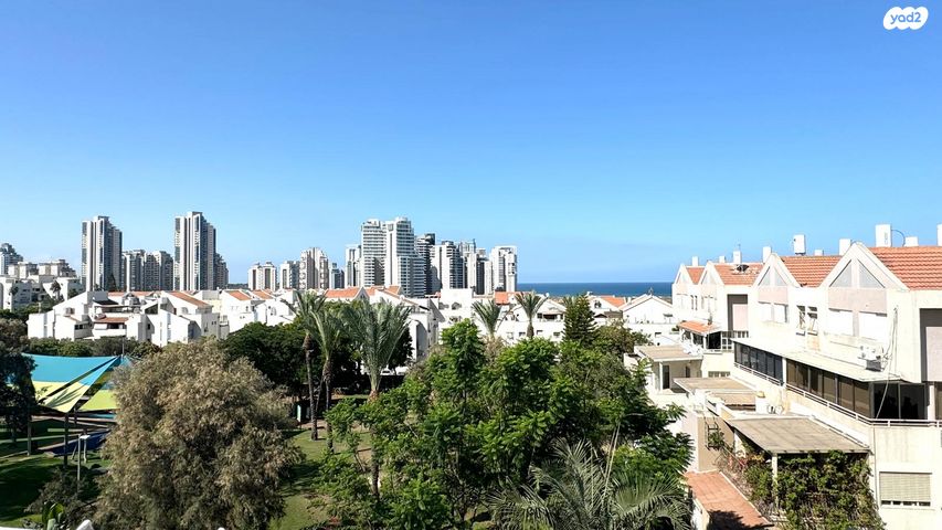 דופלקס, אירוס הארגמן, גבעת האירוסים, נתניה