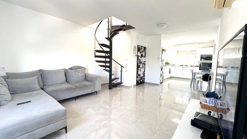 אירוס הארגמן 