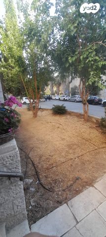 דירה, נפתלי, בקעה, ירושלים