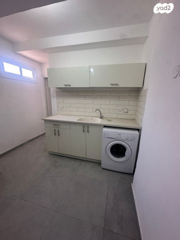 דוד וולפסון 