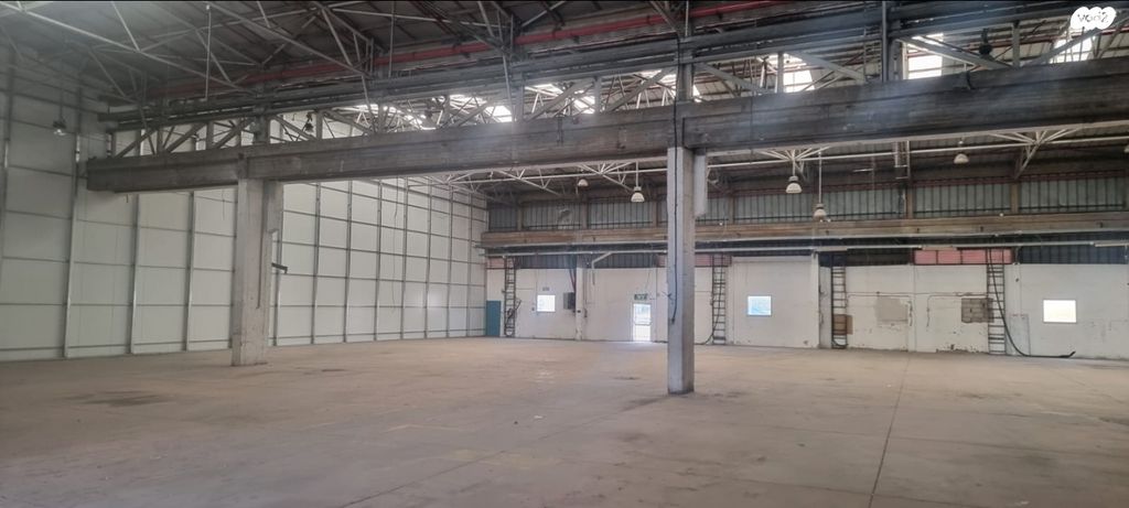 כפר סבא הירוקה