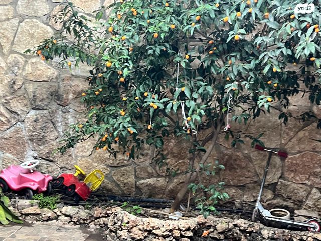 בית פרטי/ קוטג', המגיד ממעזריטש 94, הגפן, ביתר עילית