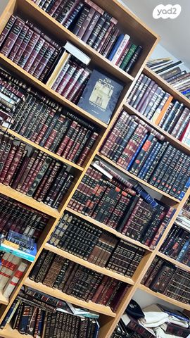 בית פרטי/ קוטג', המגיד ממעזריטש 94, הגפן, ביתר עילית