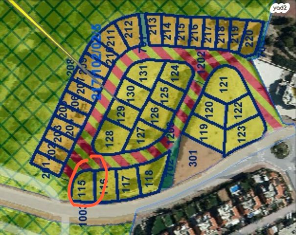 חיים רביב 44