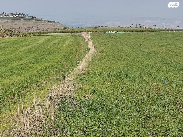 חטיבת גולני 1
