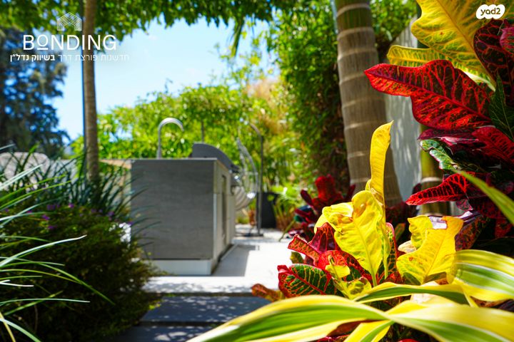 דו משפחתי, כינרת, קדימה צורן