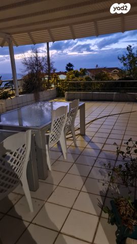 אלברט שווייצר 