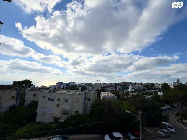 דירה, אחוזה, חיפה