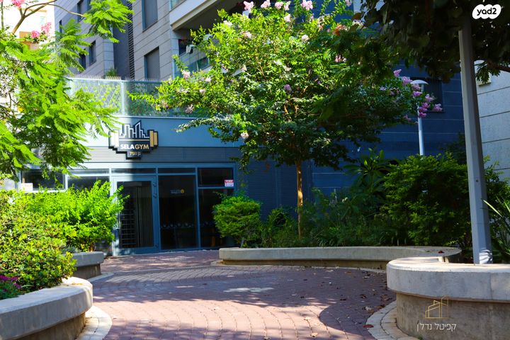 דירה, פינסקר, עיר, מרכז העיר, נהריה