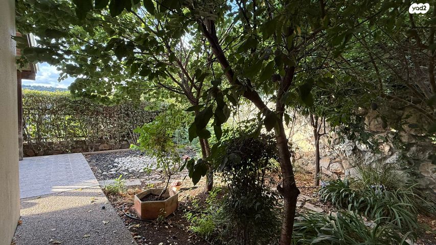 דו משפחתי, הצבעוני, הזיתים, מעלות תרשיחא