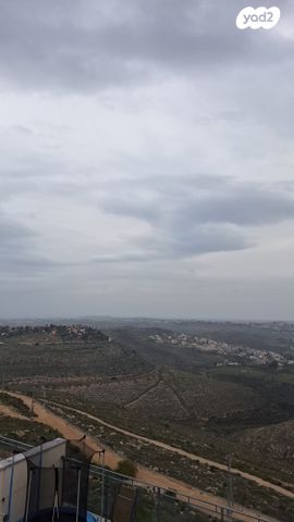 דירה, ענבר, נעלה, נעלה